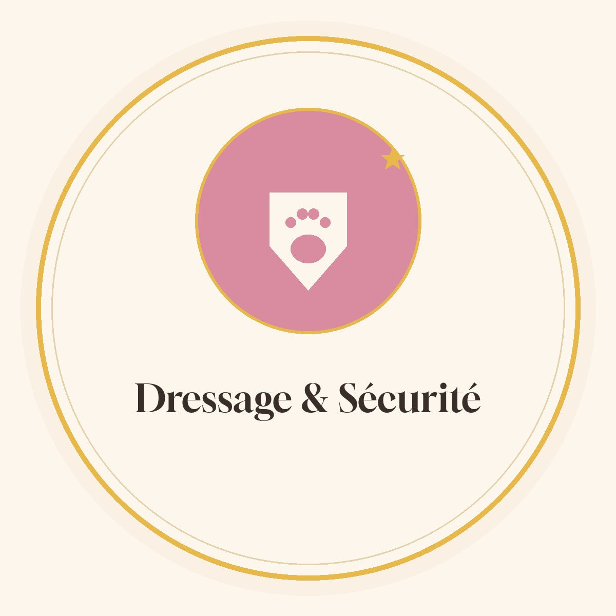 🛡️ Dressage & Sécurité