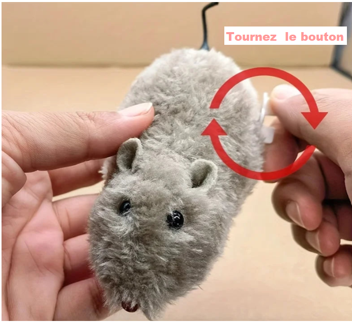 Souris à Remonter Mécanique