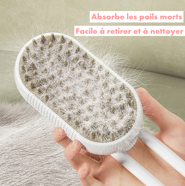 Brosse de Toilettage électrique 3 en 1