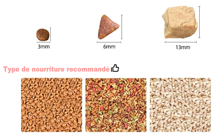ROJECO Distributeur Automatique - Nourrissez vos animaux à distance !