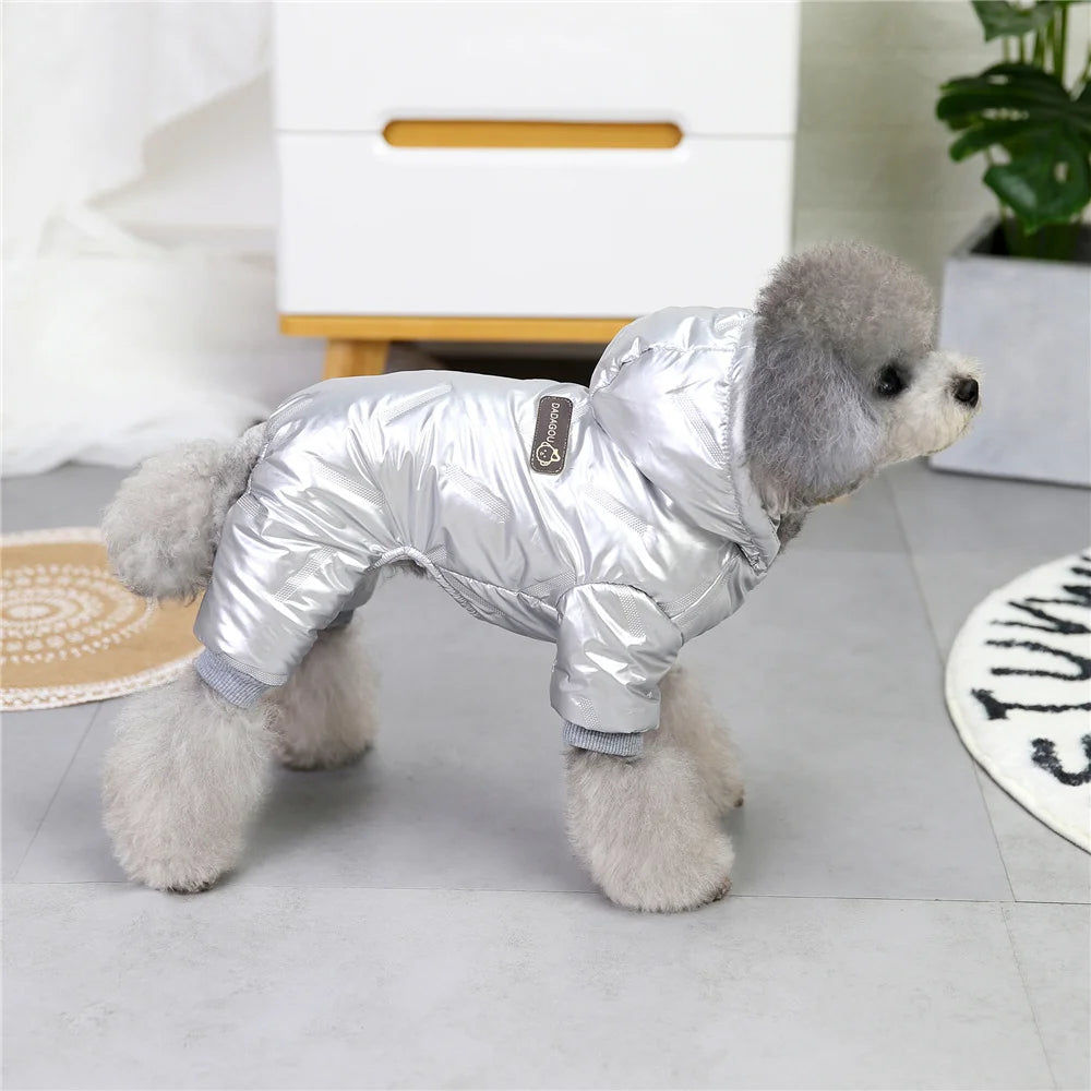 Manteau d'Hiver Imperméable