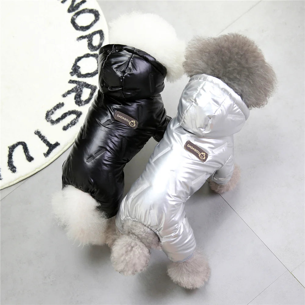 Manteau d'Hiver Imperméable