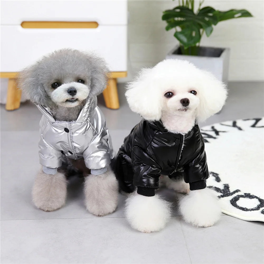 Manteau d'Hiver Imperméable