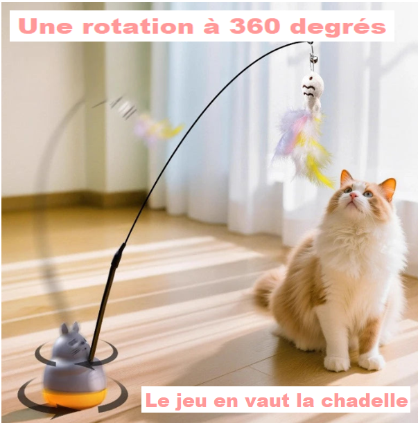 Jouet à Plumer pour Chats - Amusez votre félin !