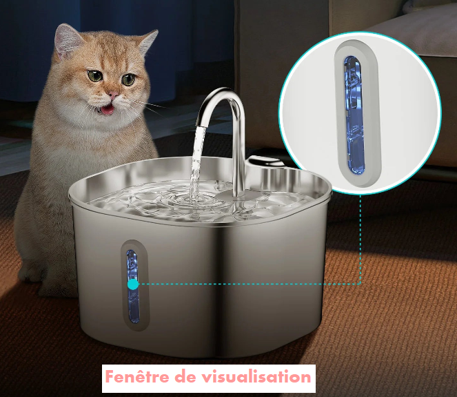Fontaine à Eau ZYFeeder - Hydratation sans stress