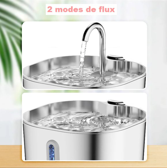 Fontaine à Eau ZYFeeder - Hydratation sans stress