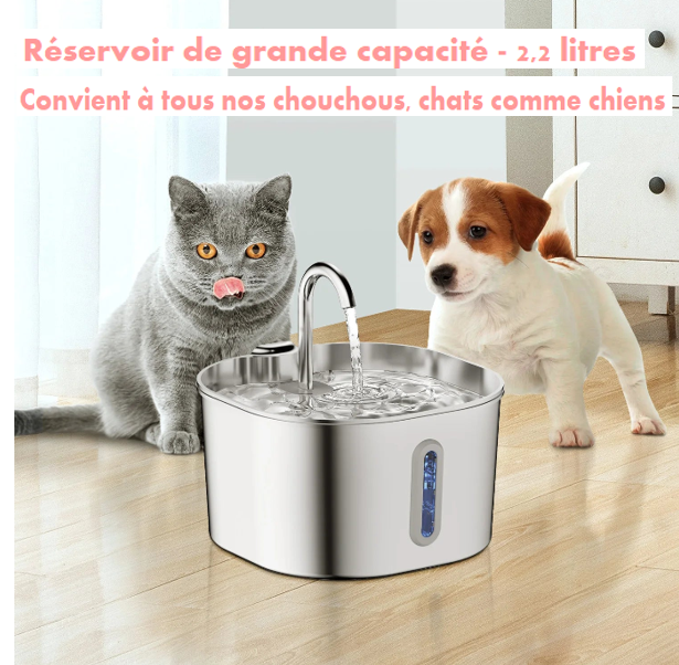 Fontaine à Eau ZYFeeder - Hydratation sans stress