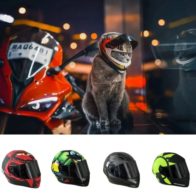 Casque de Moto pour Animaux