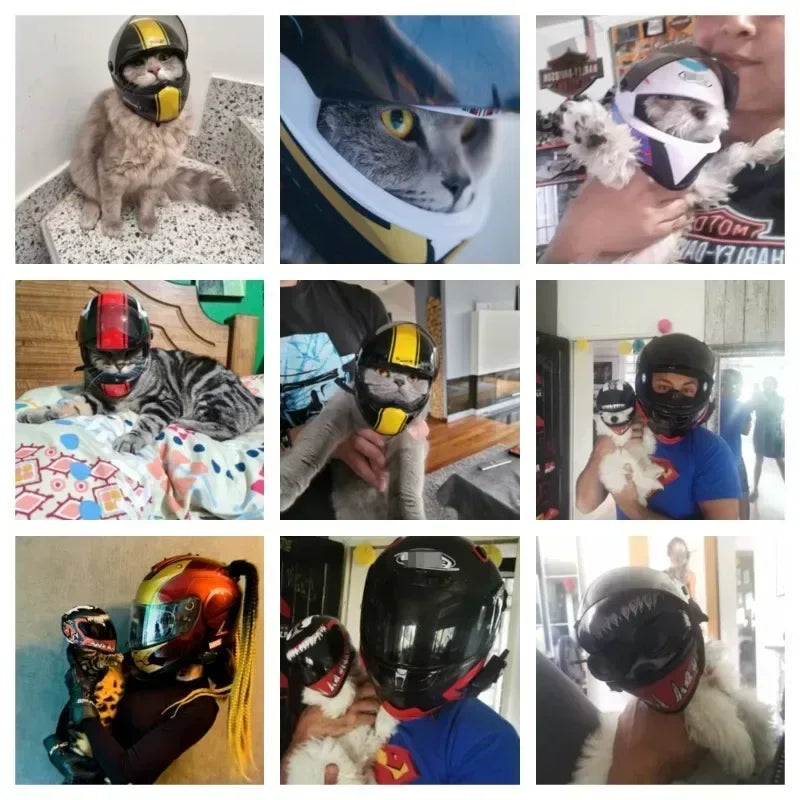 Casque de Moto pour Animaux