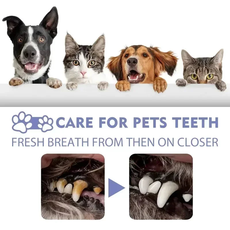 Spray de nettoyage des dents d'animaux domestiques
