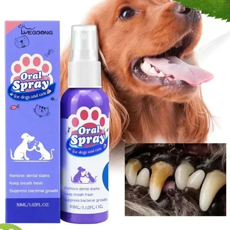 Spray de nettoyage des dents d'animaux domestiques