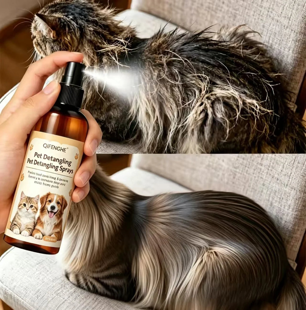 Spray shampoing professionnel démêlant sans rinçage pour animaux de compagnie