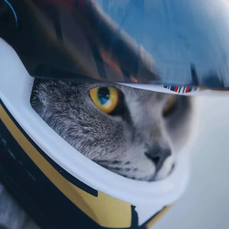 Casque de Moto pour Animaux