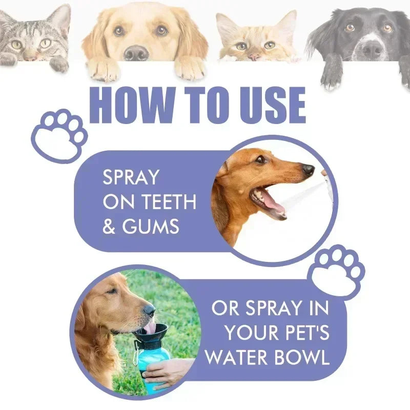 Spray de nettoyage des dents d'animaux domestiques