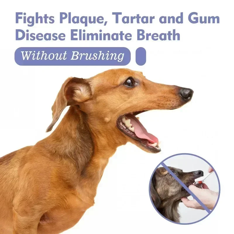 Spray de nettoyage des dents d'animaux domestiques
