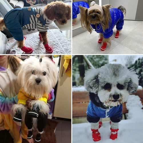 Bottes d'Hiver Imperméables