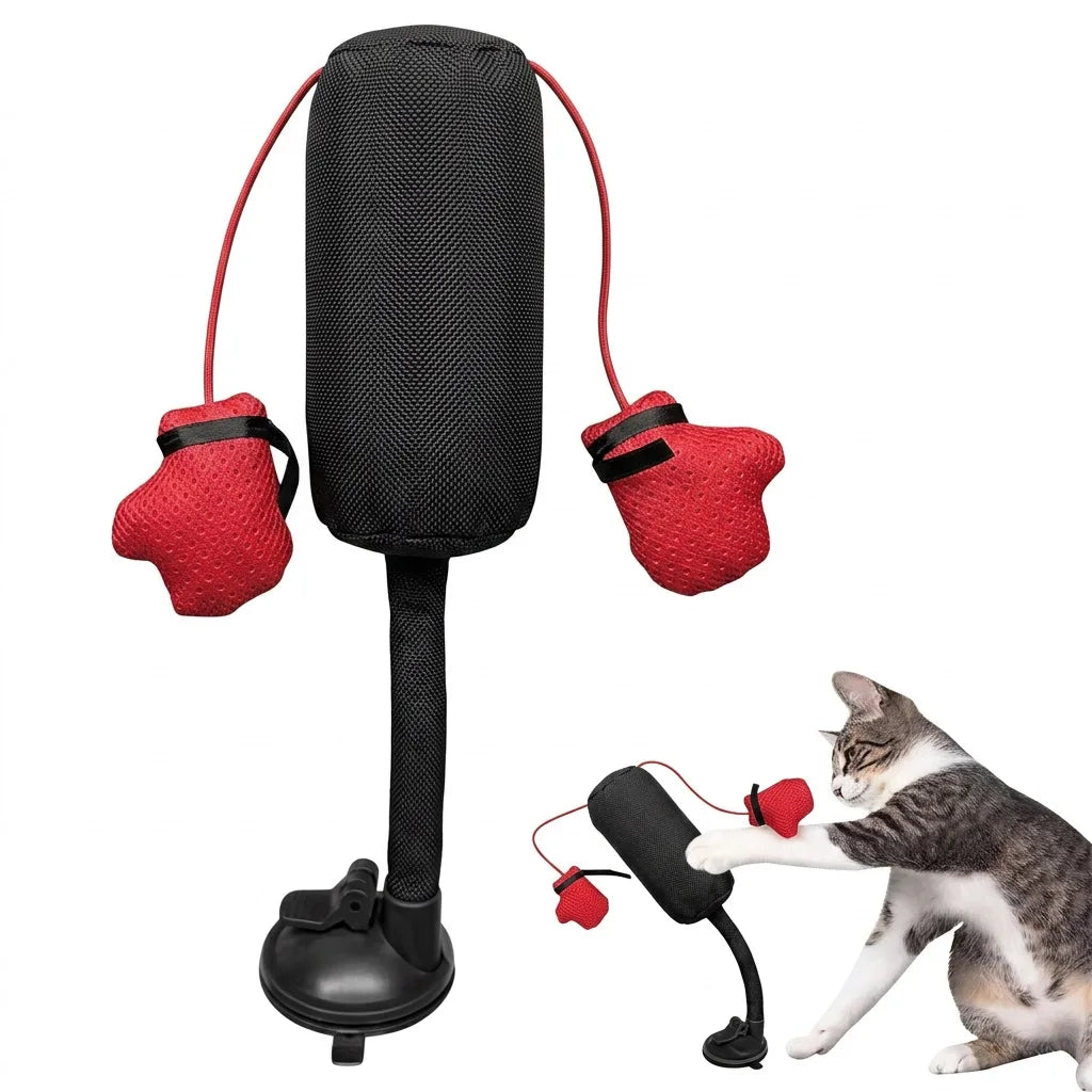 Tyson Cat