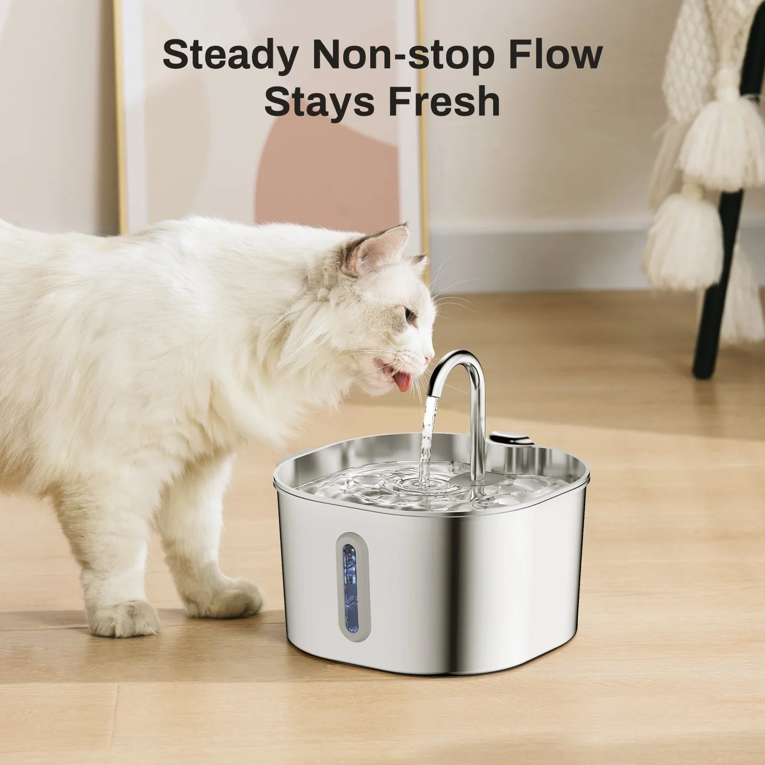 Fontaine à Eau ZYFeeder - Hydratation sans stress