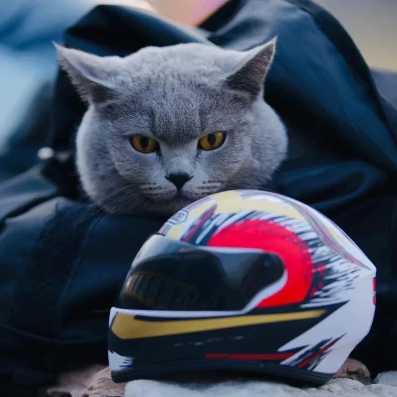Casque de Moto pour Animaux
