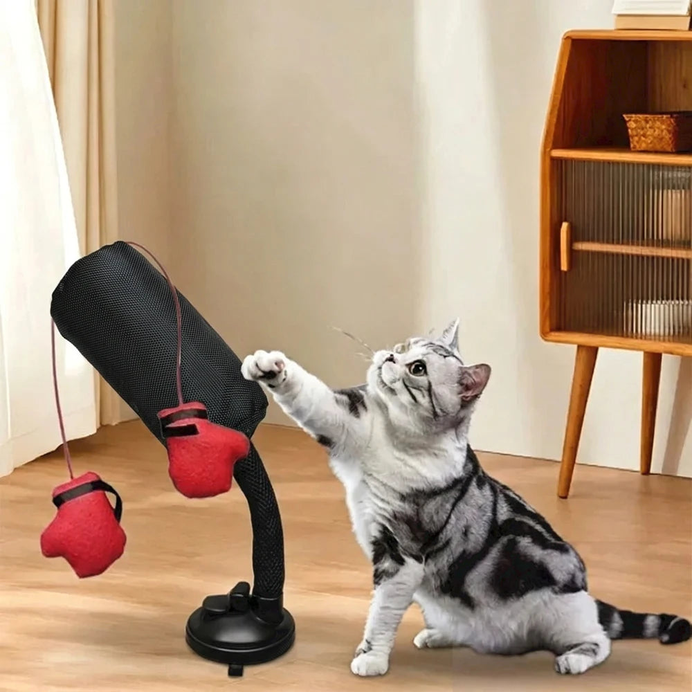 Tyson Cat