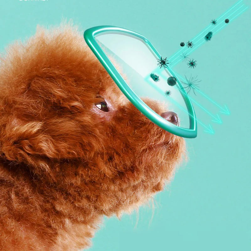 Lingettes humides nettoyantes pour les yeux pour animaux de compagnie