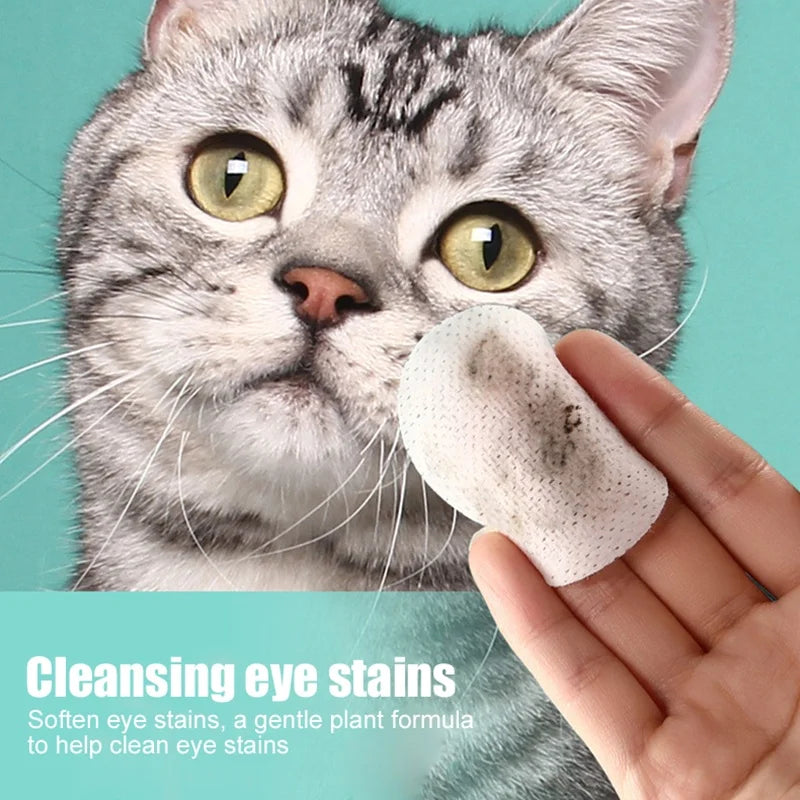 Lingettes humides nettoyantes pour les yeux pour animaux de compagnie