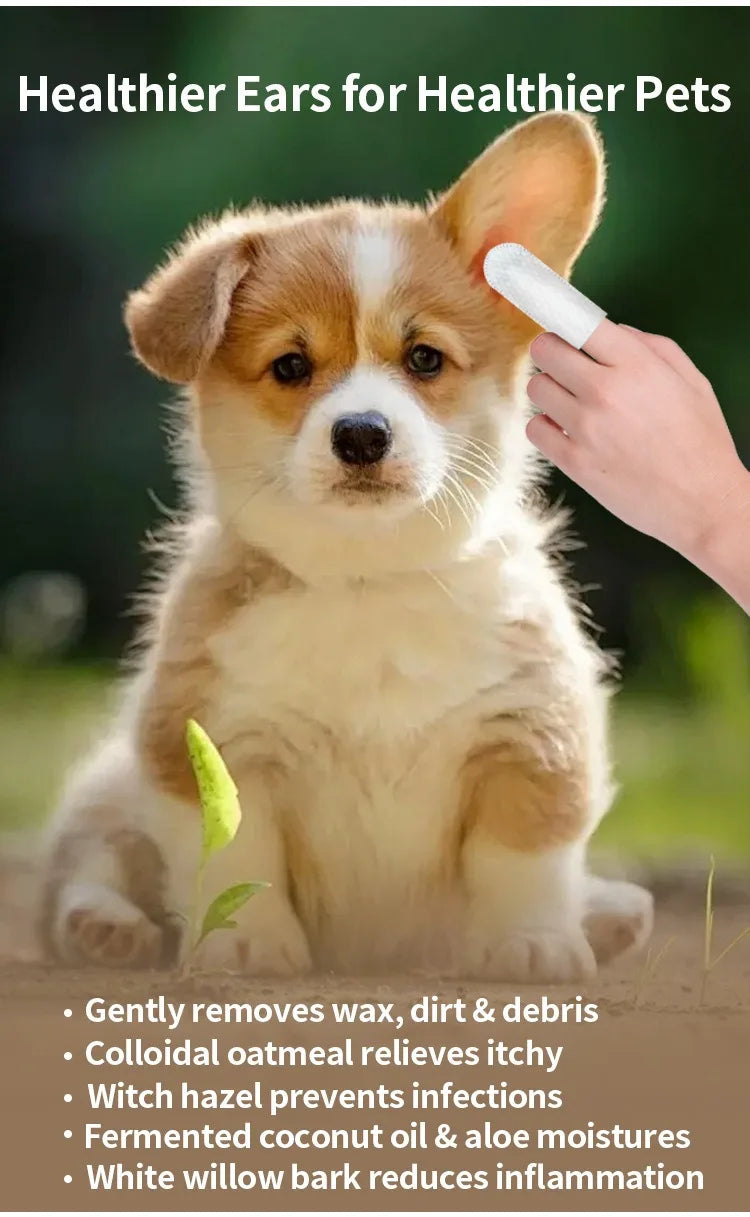 Lingettes de nettoyage et de soin des oreilles pour animaux de compagnie – élimination des acariens produits