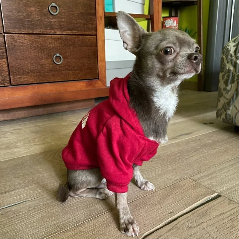 Sweat à Capuche Chaud - Moi aussi je suis stylé