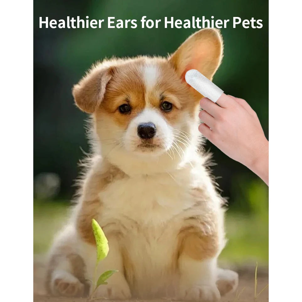 Lingettes de nettoyage et de soin des oreilles pour animaux de compagnie – élimination des acariens produits