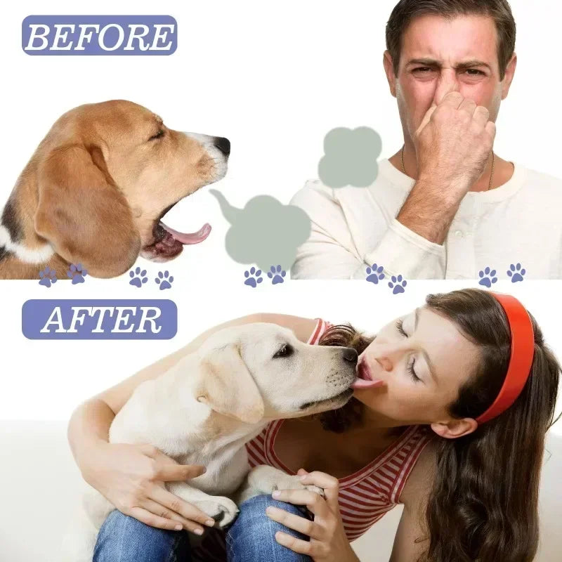 Spray de nettoyage des dents d'animaux domestiques