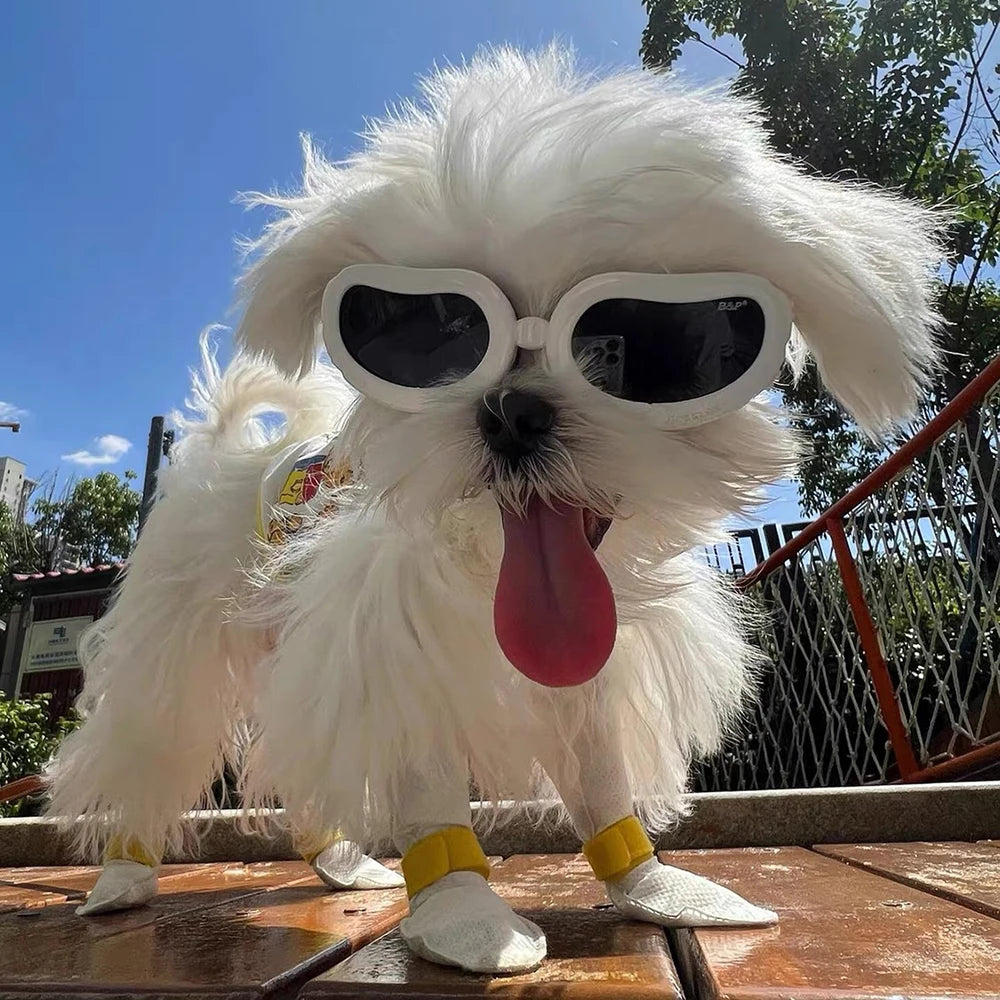 Lunettes de Pilote Rétro