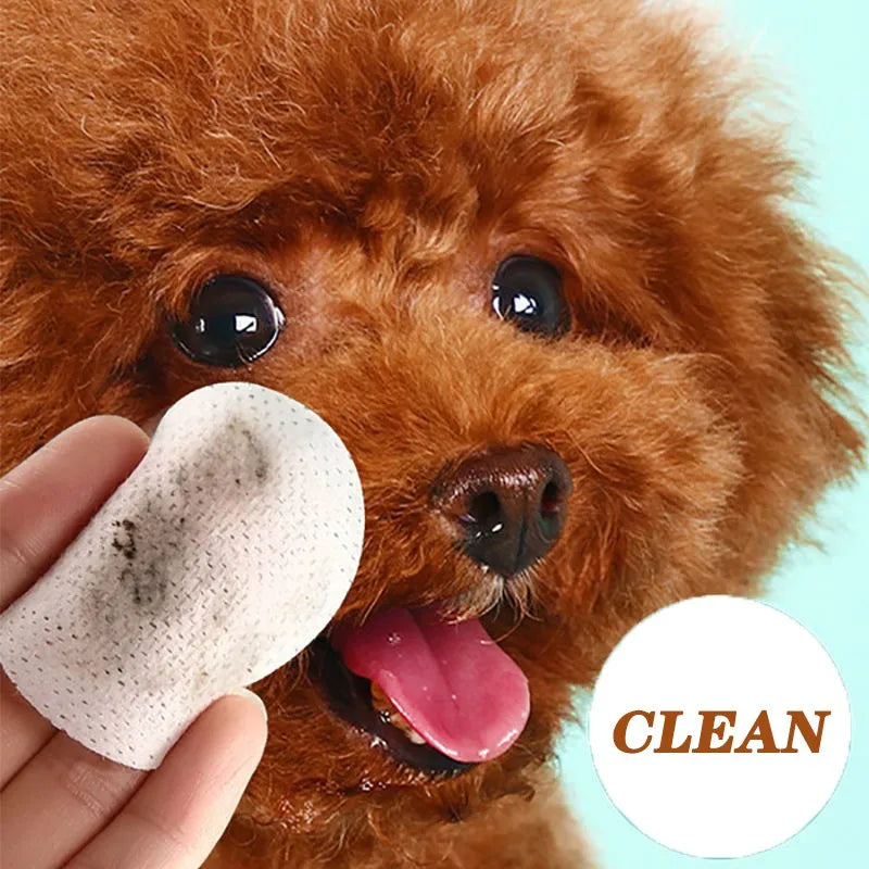 Lingettes humides nettoyantes pour les yeux pour animaux de compagnie