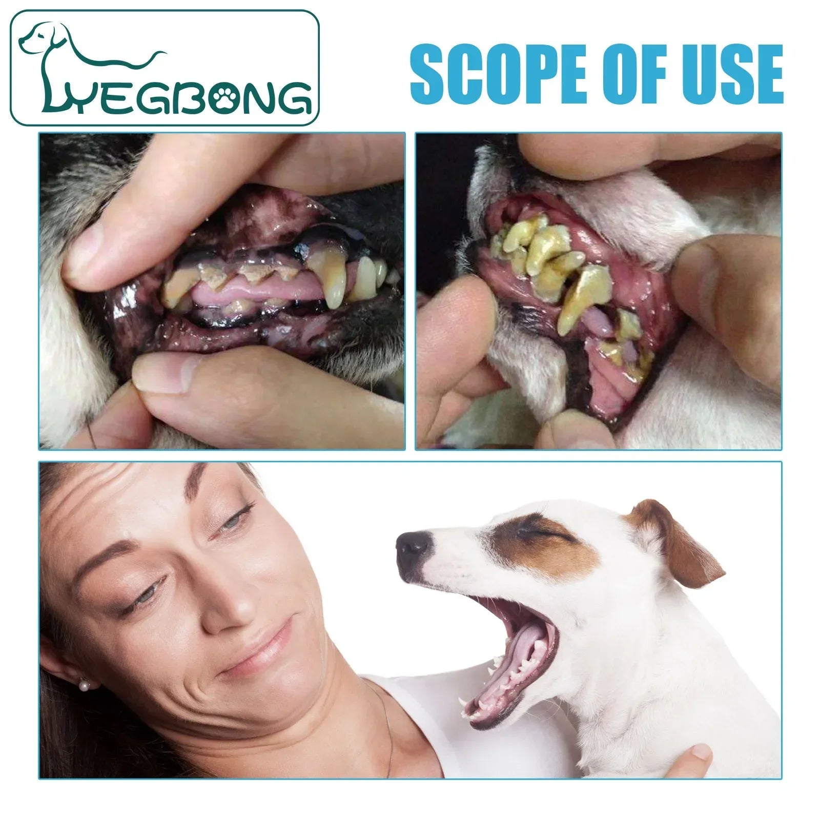 Dentifrice anti plaque dentaire pour animaux de compagnie