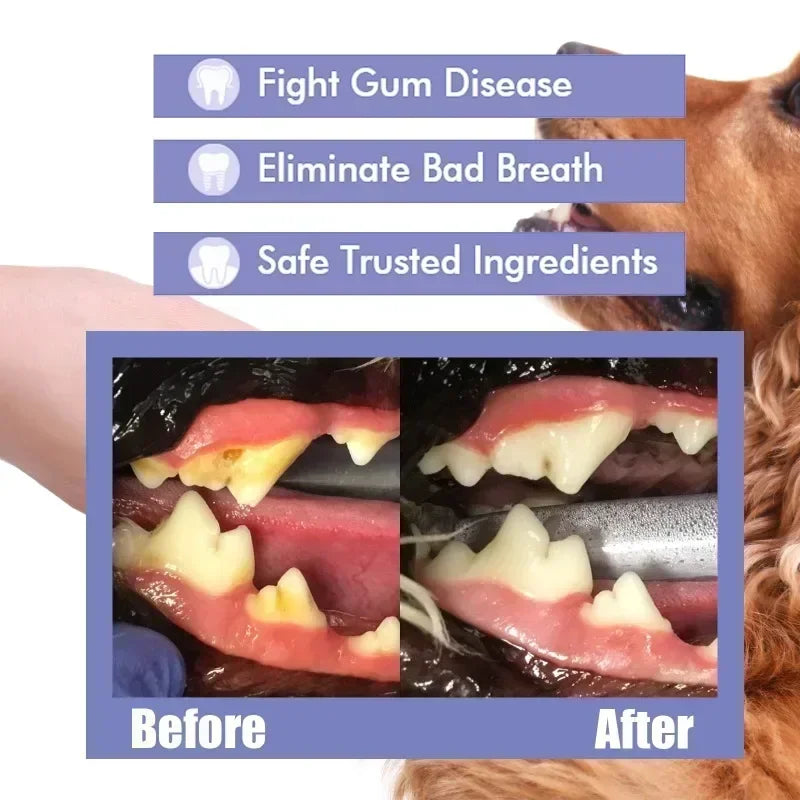 Spray de nettoyage des dents d'animaux domestiques