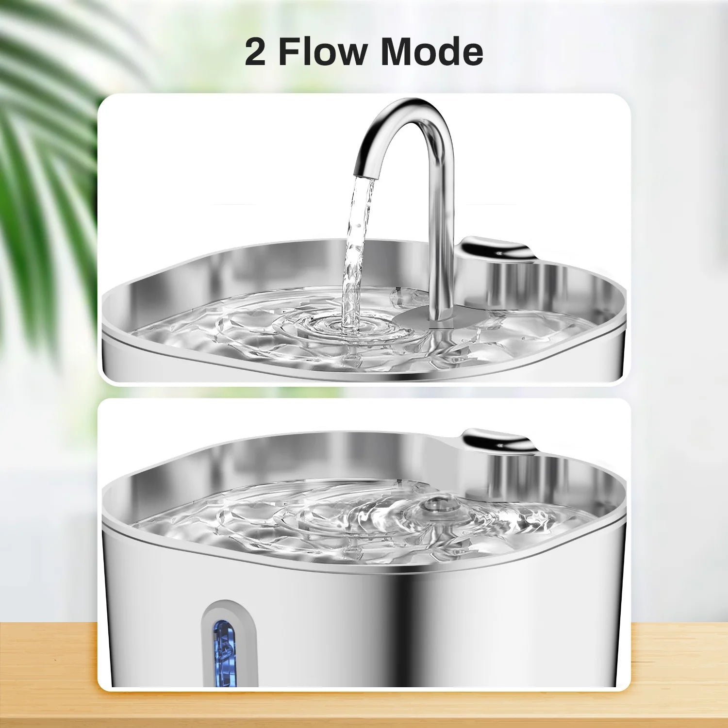 Fontaine à Eau ZYFeeder - Hydratation sans stress