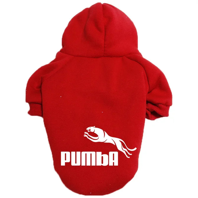 Sweat à Capuche Chaud - Moi aussi je suis stylé