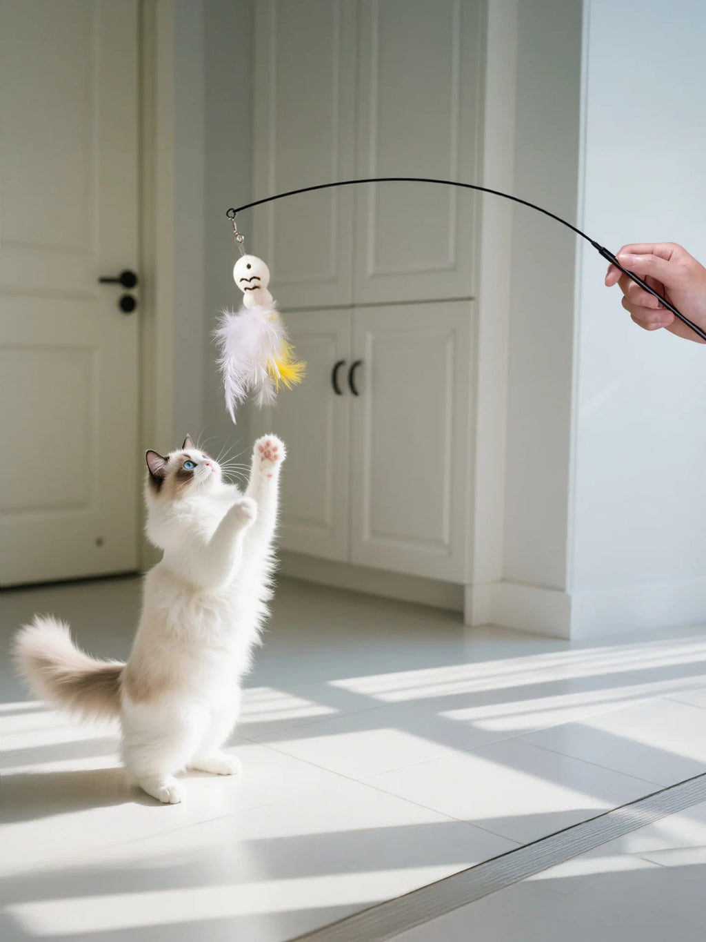 Jouet à Plumer pour Chats - Amusez votre félin !