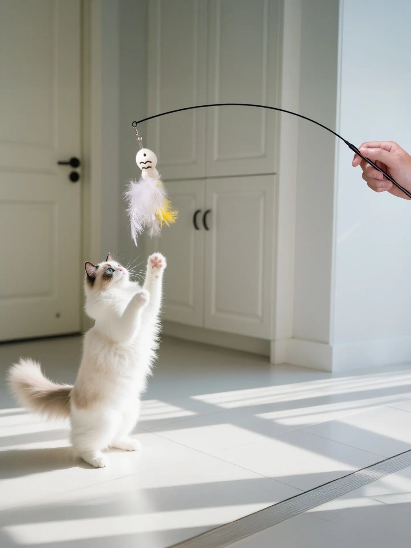 Jouet à Plumer pour Chats - Amusez votre félin !
