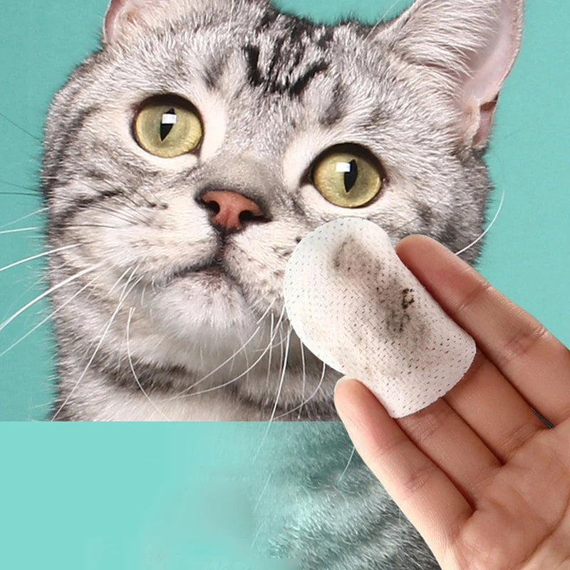 Lingettes humides nettoyantes pour les yeux pour animaux de compagnie