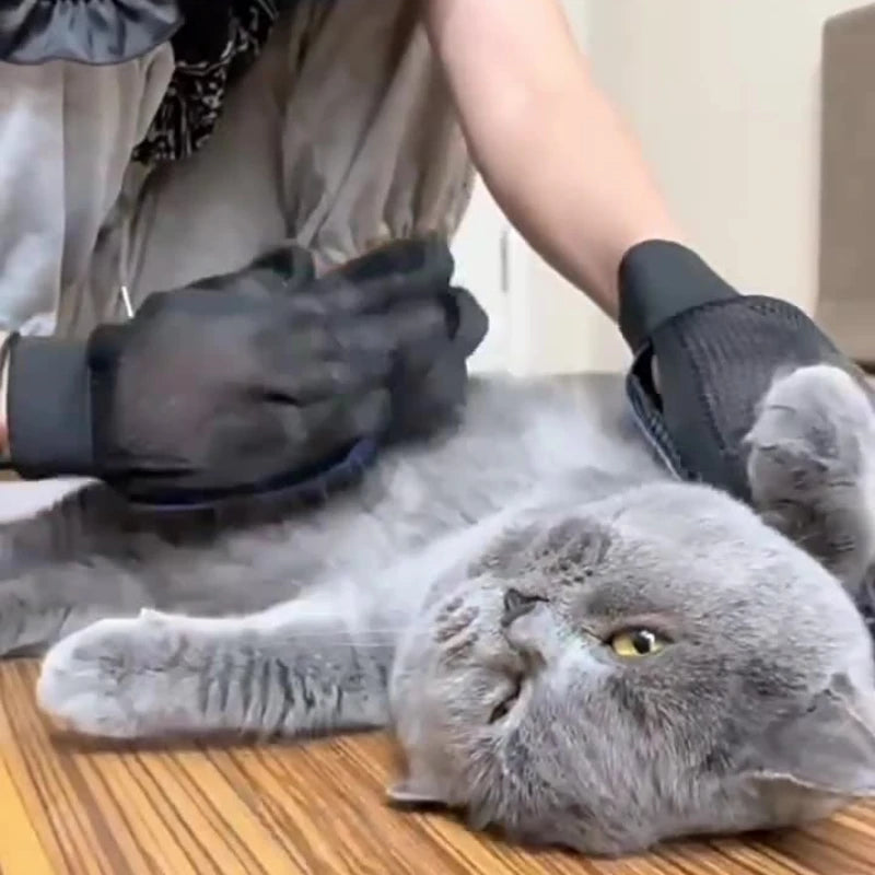 Gants de Toilettage en Silicone - Douceur et Confort pour Votre Animal
