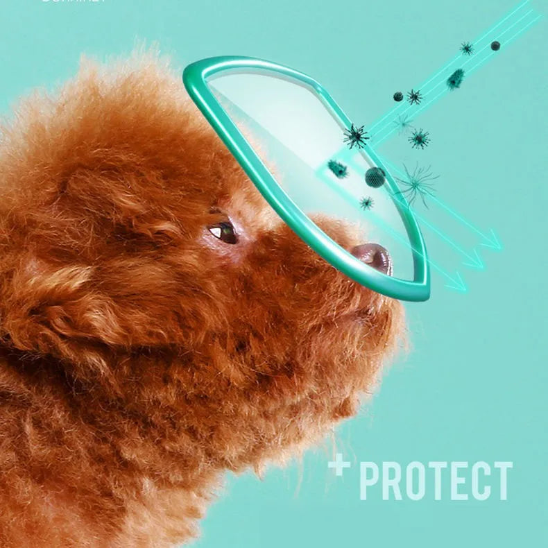 Lingettes humides nettoyantes pour les yeux pour animaux de compagnie