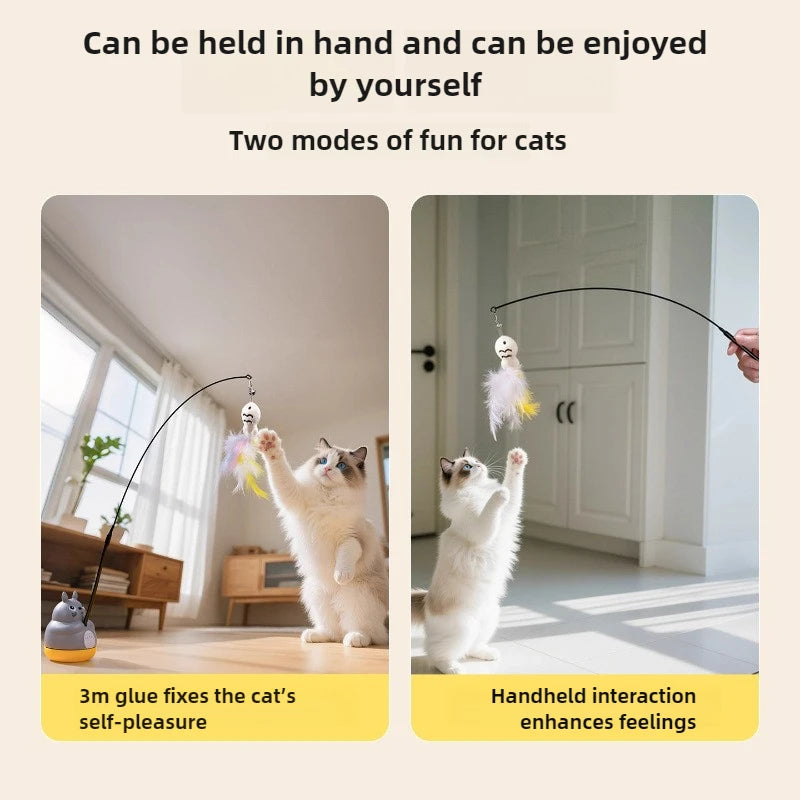 Jouet à Plumer pour Chats - Amusez votre félin !