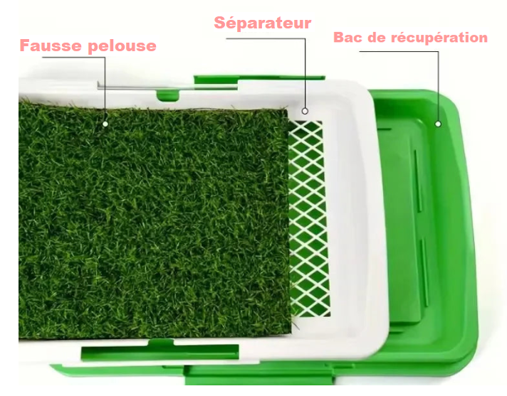 Toilettes pour Chiens - Éducation facile et pratique !