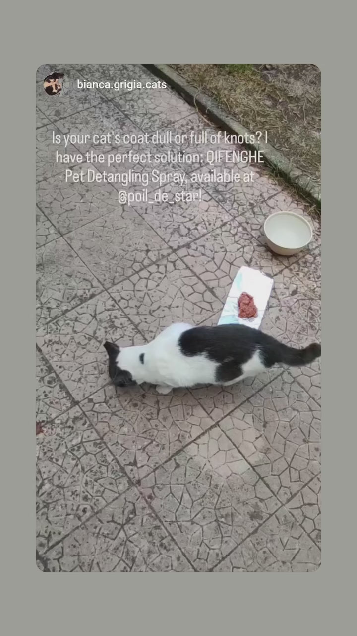 Spray shampoing professionnel démêlant sans rinçage pour animaux de compagnie